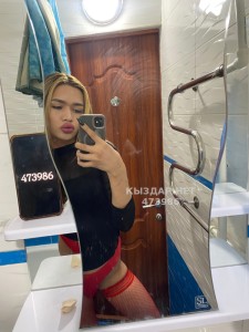 Транс Астаны Транс№473986 А-С-Е-Л-Ь-Я Фотография №3660045