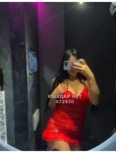 Проститутка Кызылорды Девушка№472830 Диля Фотография №3678735