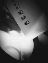 Фотография №3679663