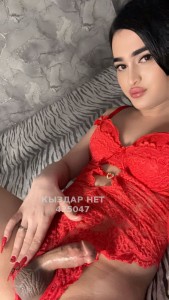Транс Алматы Транс№425047 Миранда Фотография №3699446