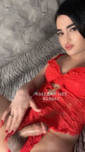 Транс Алматы Транс№425047 Миранда Фотография №3703167