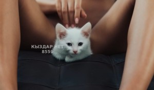 Проститутка Астаны Девушка№8559 L A R A Астана до 26 мая Фотография №3703547