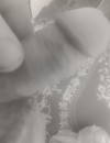 Фотография №3706328