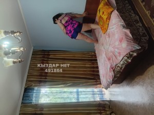 Проститутка Алматы Анкета №491864 Фотография №3716194